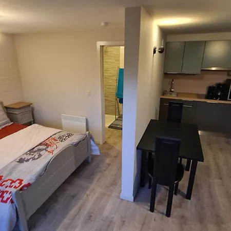 Lägenhet Le Salmoyard, Au Bord Du A *
