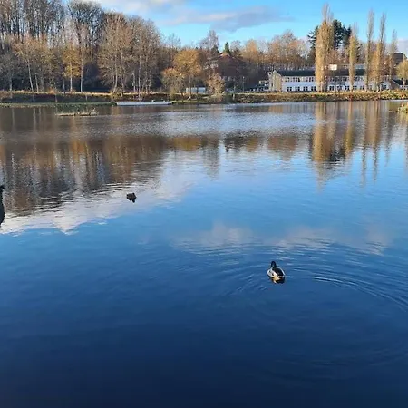 Le Salmoyard, Au Bord Du A Vielsalm